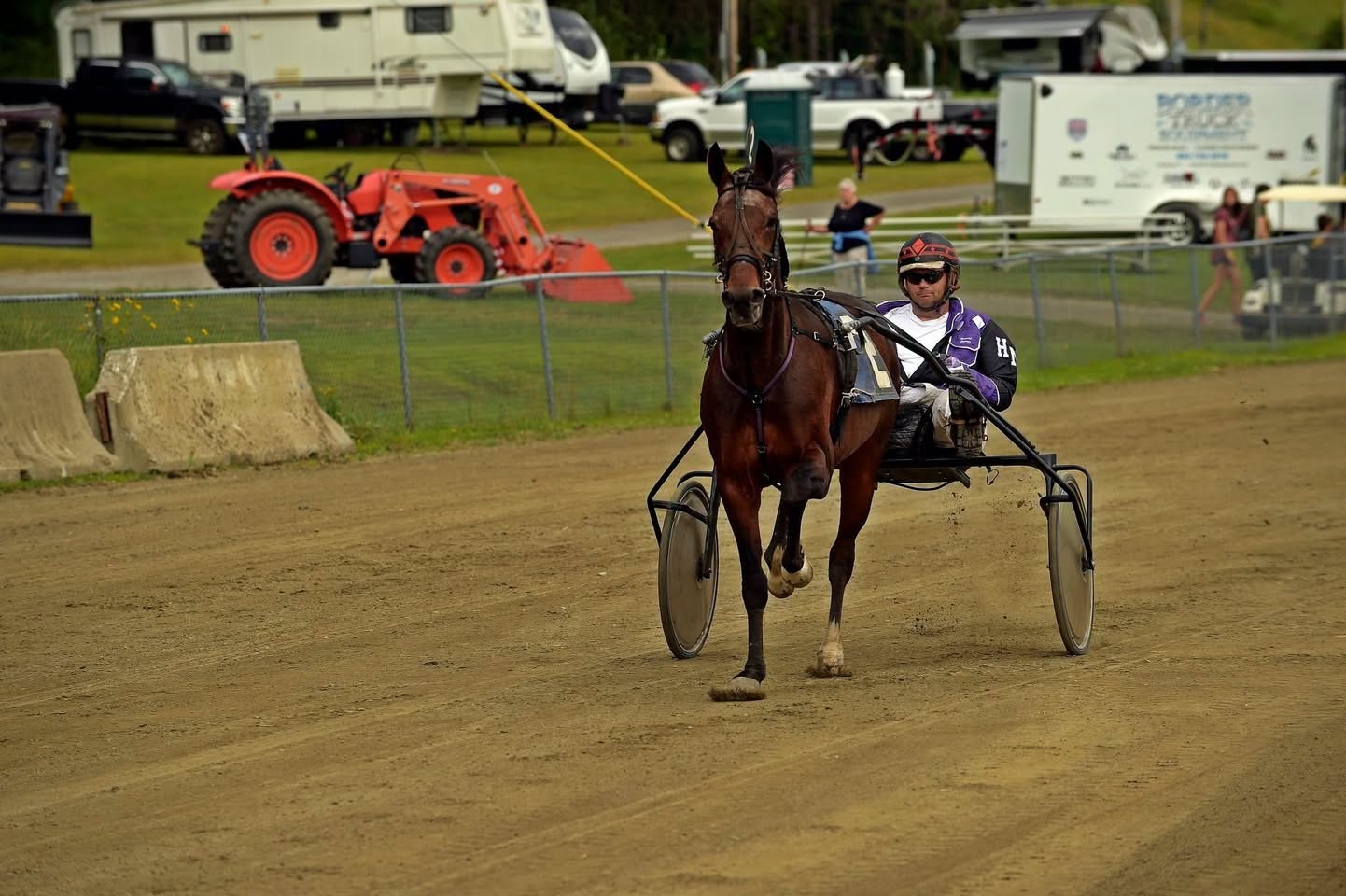 Horse and driver competing in a harness event at a fair