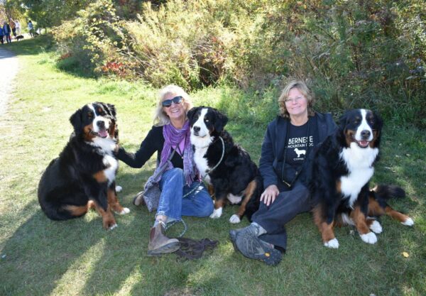Dog Mountain Draws Hundreds For Fall Celebration