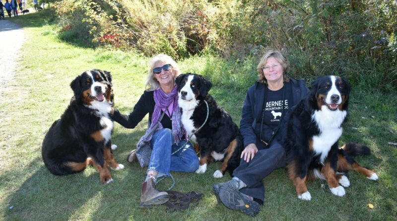 Dog Mountain Draws Hundreds For Fall Celebration