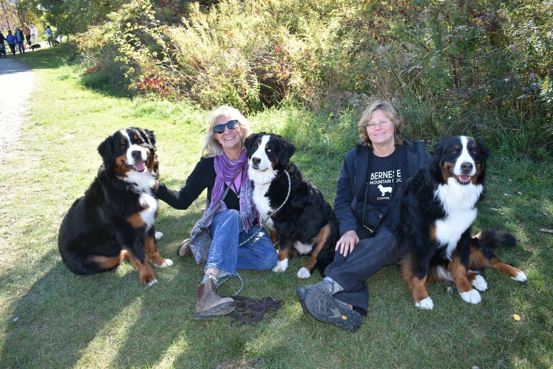 Dog Mountain Draws Hundreds For Fall Celebration